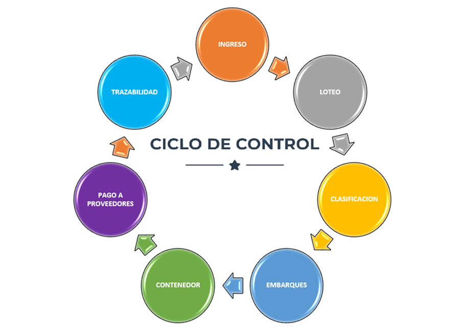 Fases de recepción y proceso